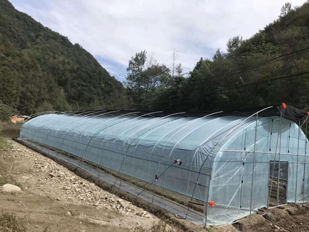 12s进口浅蓝高透光po膜 7米宽一米长 要几米长就拍几件【图片 价