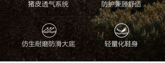 675fcdf86515cbc5.jpg