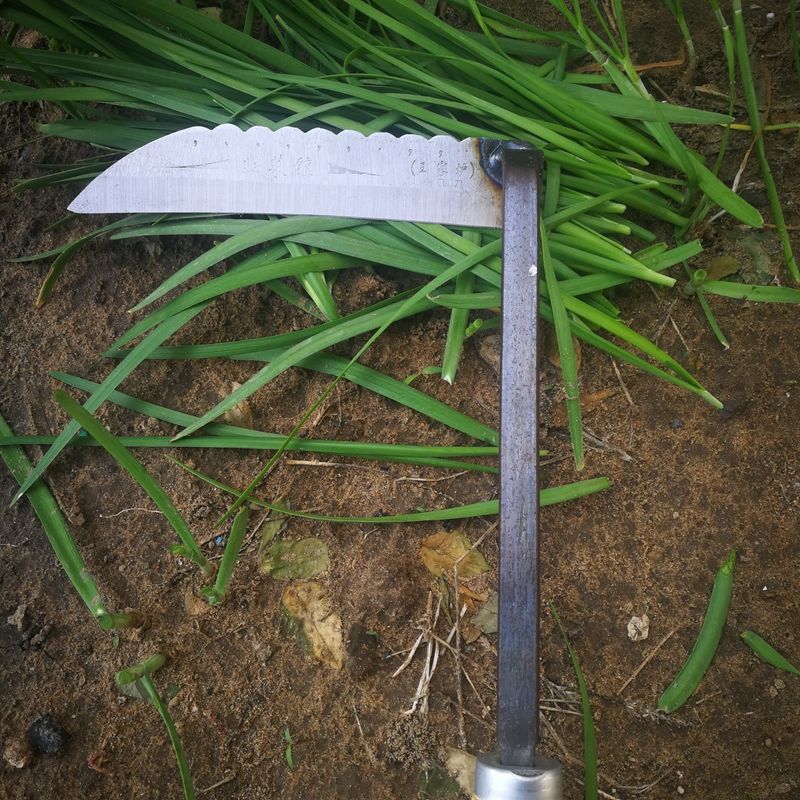 锰钢65韭菜镰刀家用割蔬菜除草小锄头小镰刀农用工具vieruodis大小