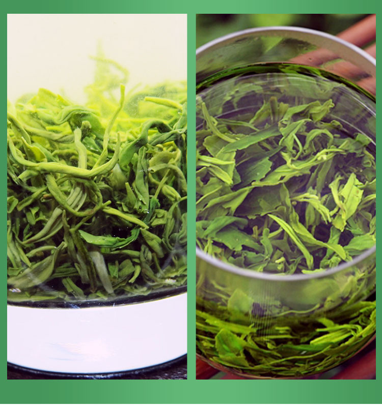 陕青茶叶2021新茶陕西安康紫阳富硒茶毛尖特级翠峰陕南炒青绿茶