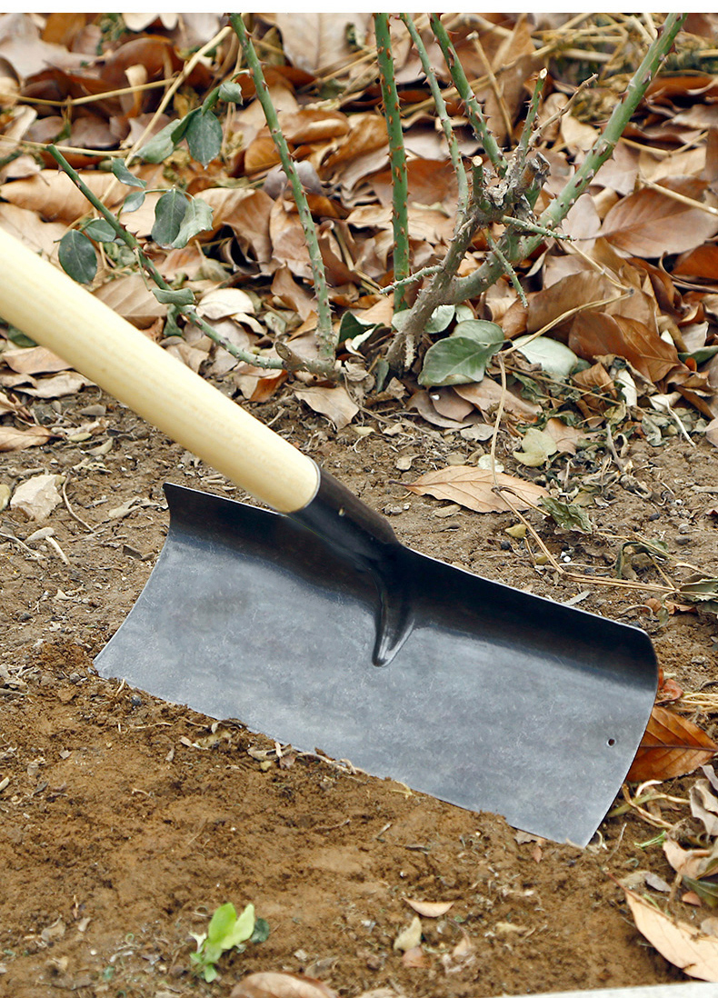 刮粪板晒谷物耙子工地水泥平流平灰钢农用工具搂扒猪粪钢耙刮粪铲24