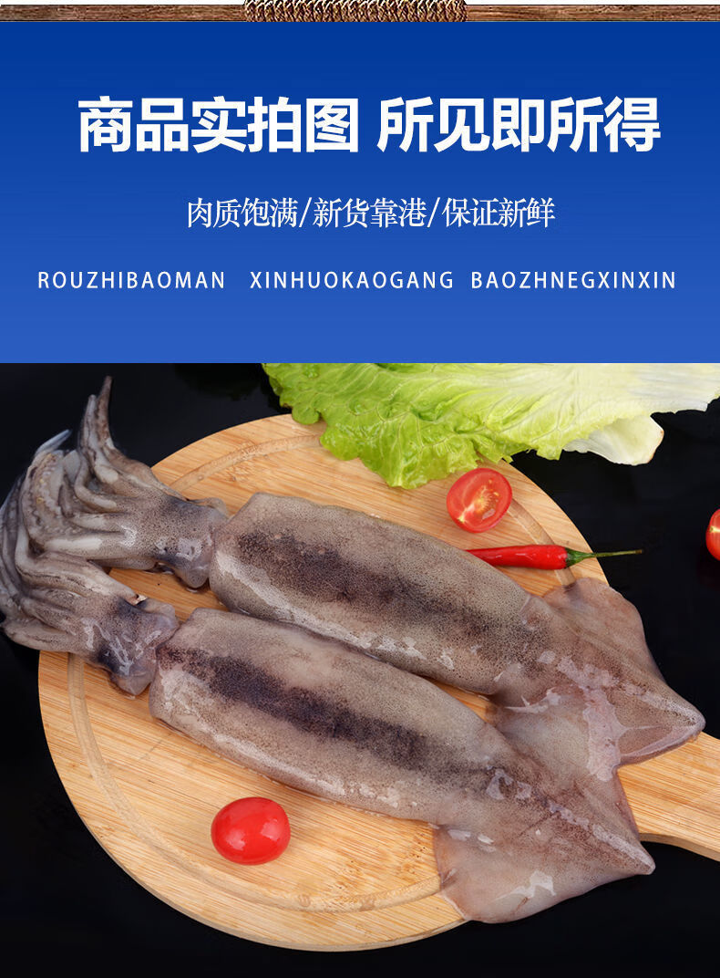 超大鱿鱼新鲜海捕整只鱿鱼冷冻海鲜水产火锅配菜烧烤食材批发 带箱5斤