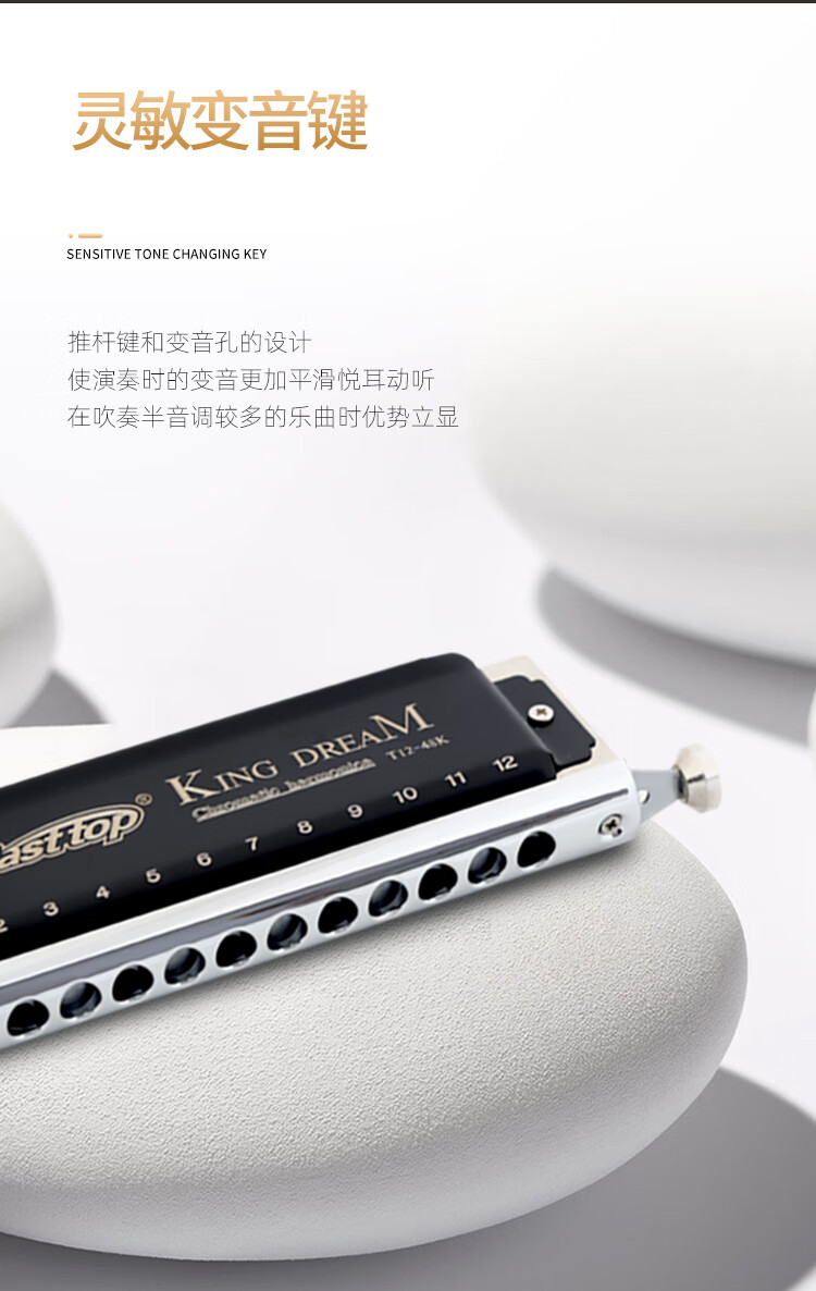 easttop东方鼎 12孔半音阶口琴高级成人进阶钛格男女儿童初学者专业