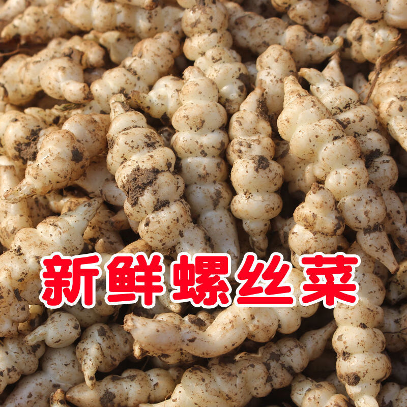 种地葫芦牯牛地溜子玉环农家现挖现发 5斤地环种子带芽带根【图片