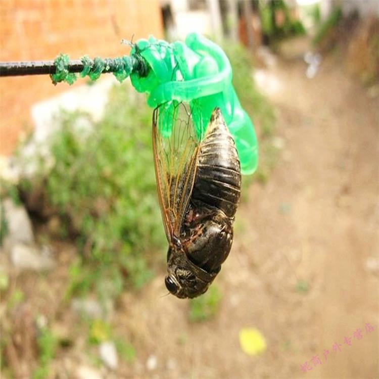 加强版伸缩捕蝉杆抓粘知了杆5米1米抓粘蝉竿捉捕蝉神器工具 5米加环沾