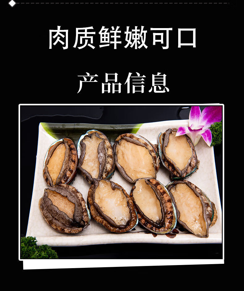 福建海捕新鲜鲍鱼鲜活冷冻海鲜水产佛跳墙中高端食材 海捕鲍鱼20头/斤