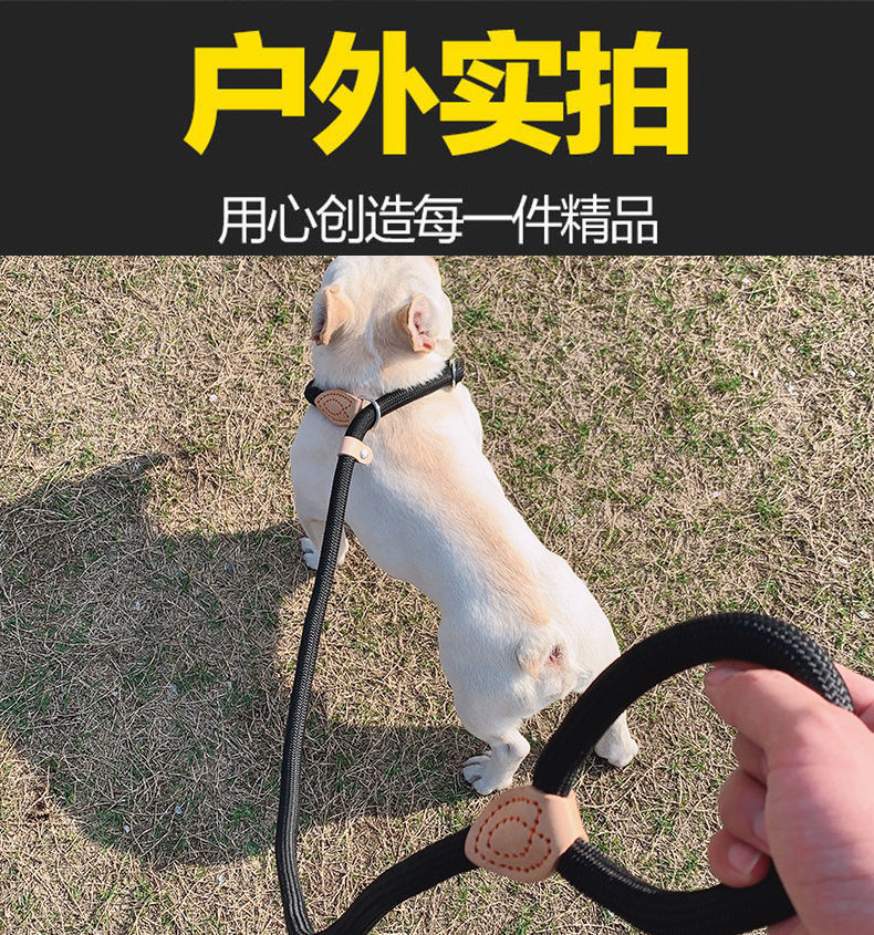 oloey狗繩狗鏈子防爆衝p鏈遛狗訓練跟隨賽級p繩牽引帶小中大型犬牽引