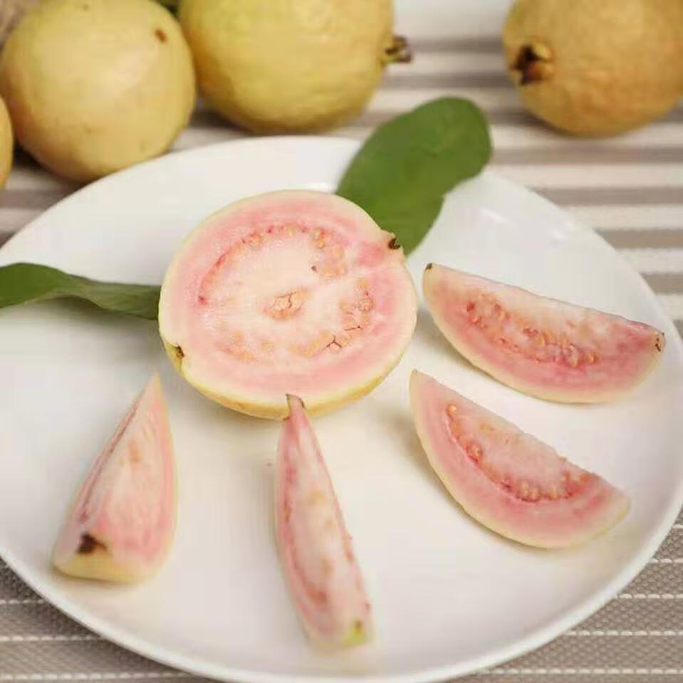 黄金胭脂红番石榴软红心芭乐当季新鲜水果35斤5斤中大果约1013个
