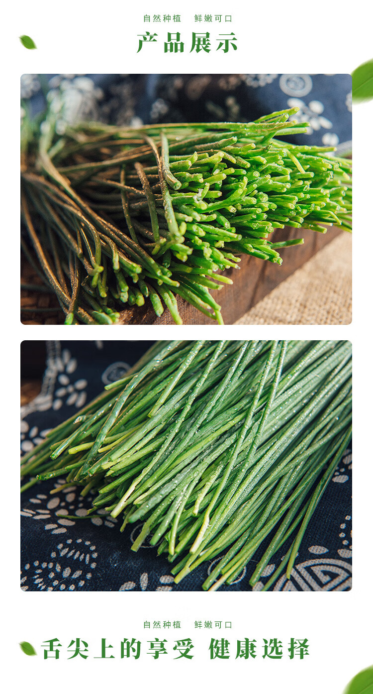 甘肃沙葱新鲜沙葱民勤特产蔬菜下饭菜胡葱野葱5斤装保鲜2kg