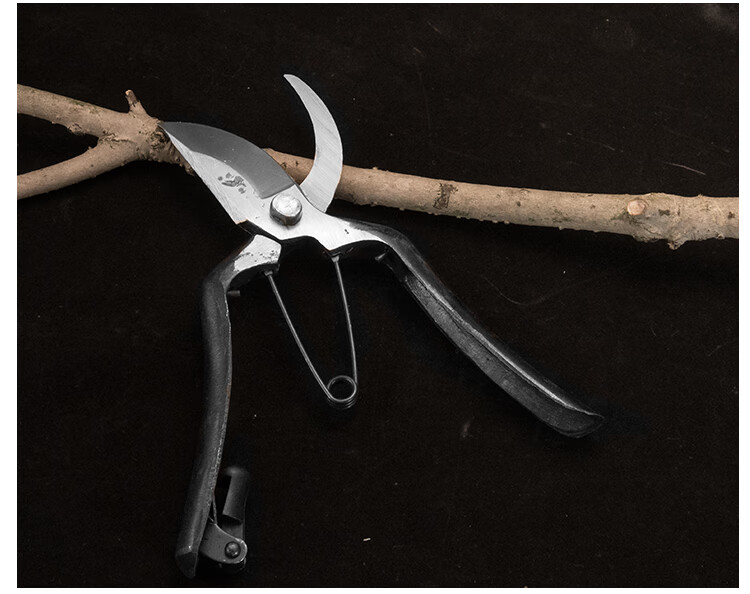 进口多功能园林工具【旗舰京品】 花艺老式望儿山果树剪刀 修枝剪