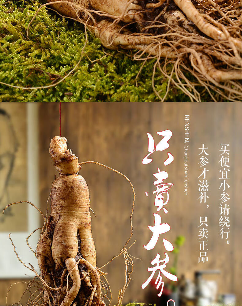 带土大鲜参吉林通化林下野山参长白山人参东北特产810年2支100克大号