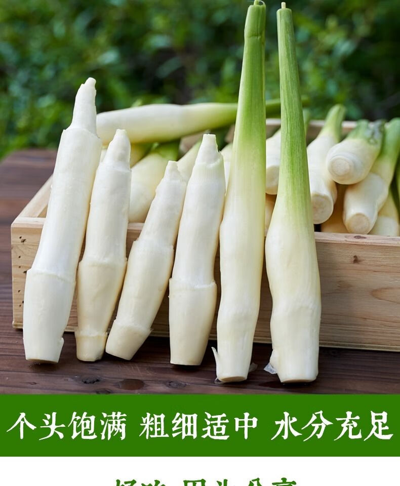 柘城助农馆新鲜茭白农家自种现摘茭白时令鲜嫩蔬菜茭瓜高笋水笋2斤