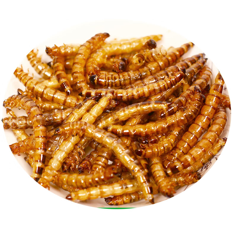 油炸大麦虫虫子美食昆虫食用即食美食香酥可以能吃的烤炸虫子零食