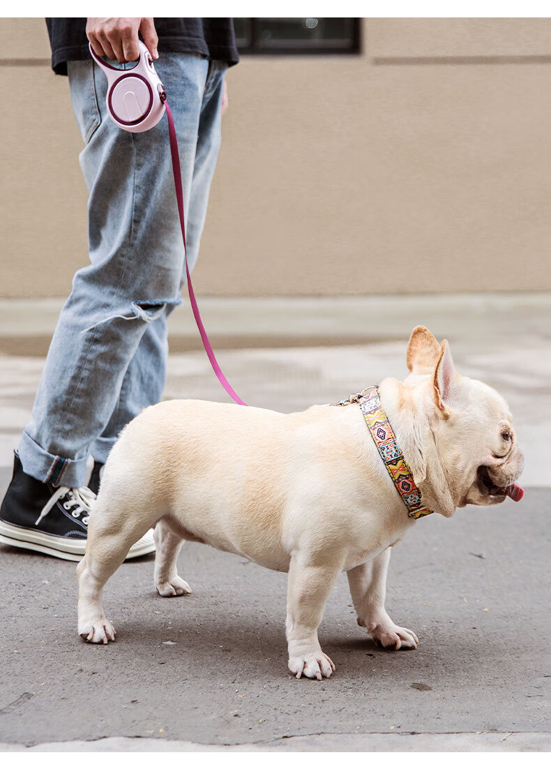 狗狗牵引绳自动伸缩遛狗绳狗链子中型小型犬泰迪博美柯基宠物用品