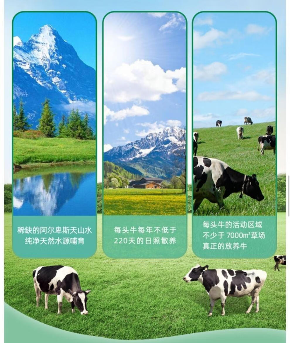 奥地利进口酸奶绿林贝lvlinb 常温原味脱脂酸牛奶200克*12盒 一箱