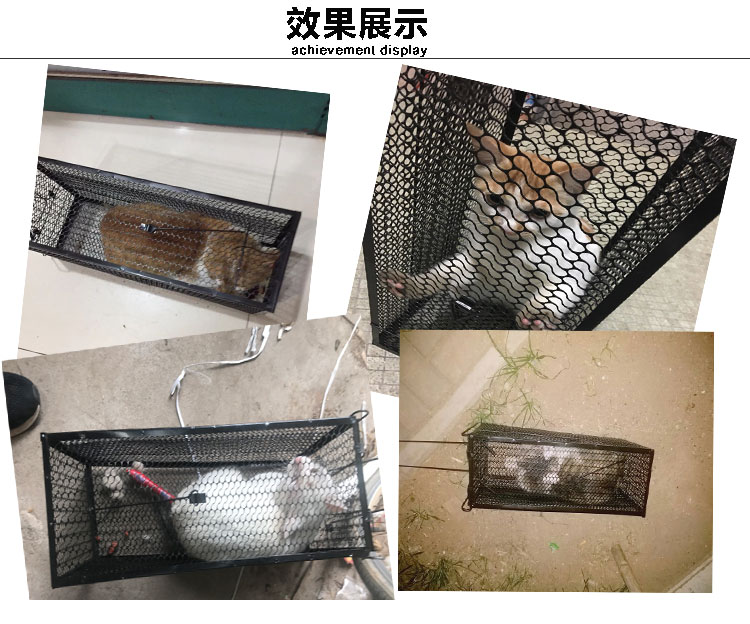 捕猫笼全自动捉猫神器大号人道救助驱赶野猫流浪猫逮猫笼抓猫神器长40