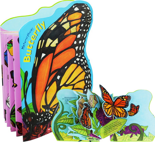 《英文原版 metamorphoses butterfly 自然百科stem科普精装立体书》