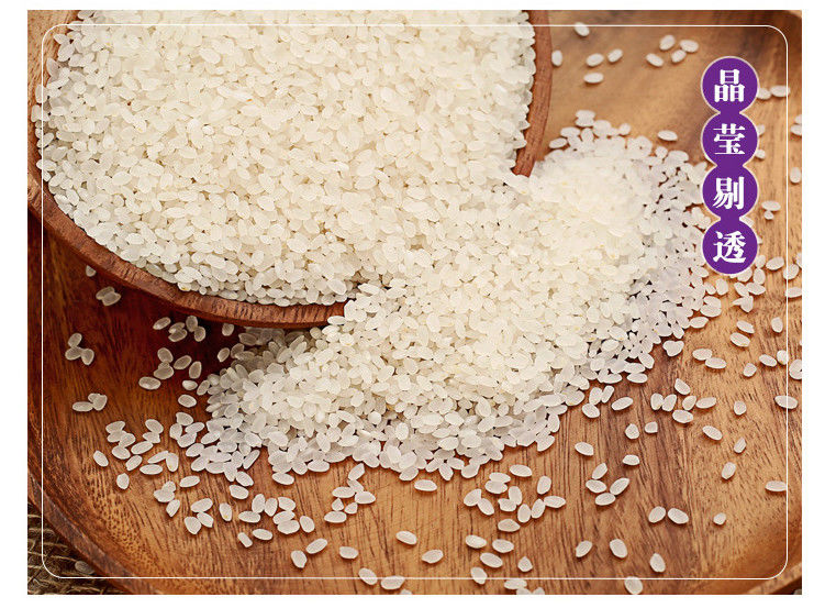 水晶米东北大米 10斤 长粒香米 新米 珍珠米 福临门东北长粒香米10斤