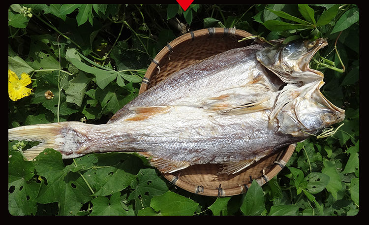 3斤马友鱼干湛江海鲜特产梅香马鲛鱼广西北海特大红鱼干咸鱼干货1500g