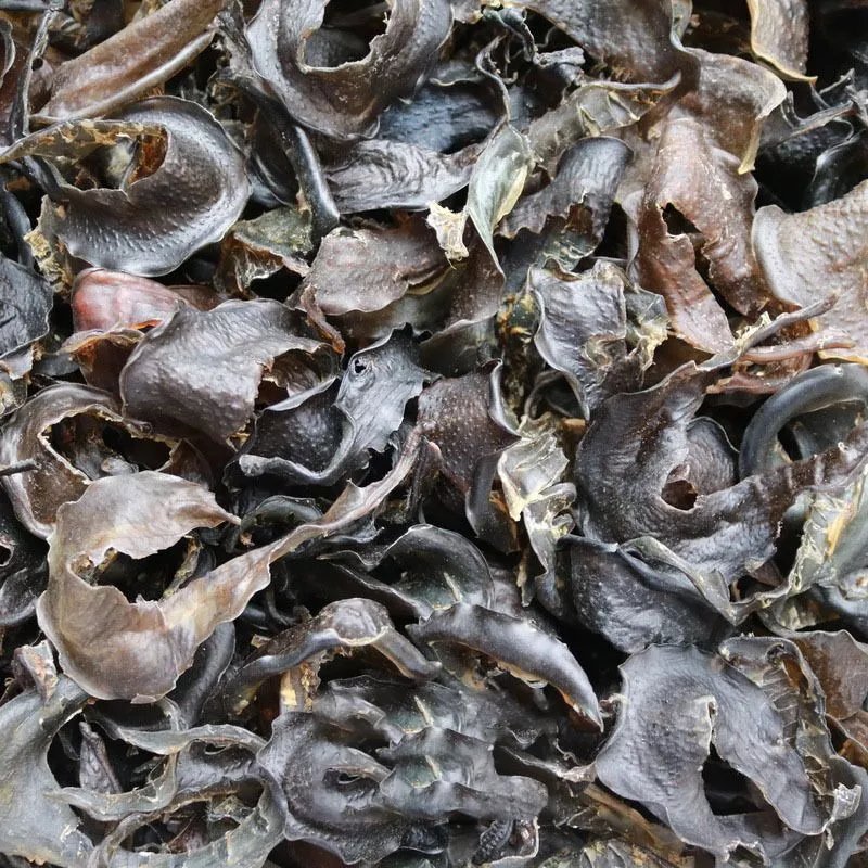 甲鱼裙边 水鱼裙干 鳖甲鱼裙边团 鱼水鱼飞边干货 足干靓货煲汤焖炒肉