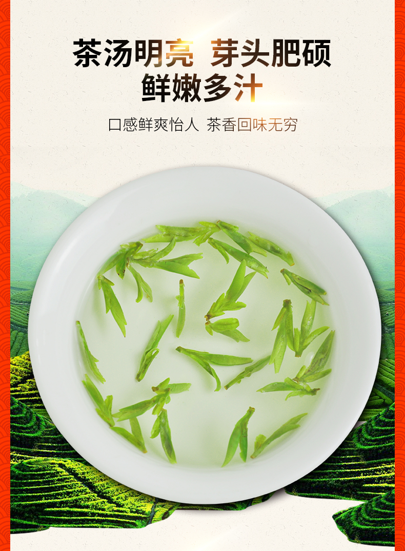5折2022年新茶叶明前龙井特级绿茶250g乌牛早