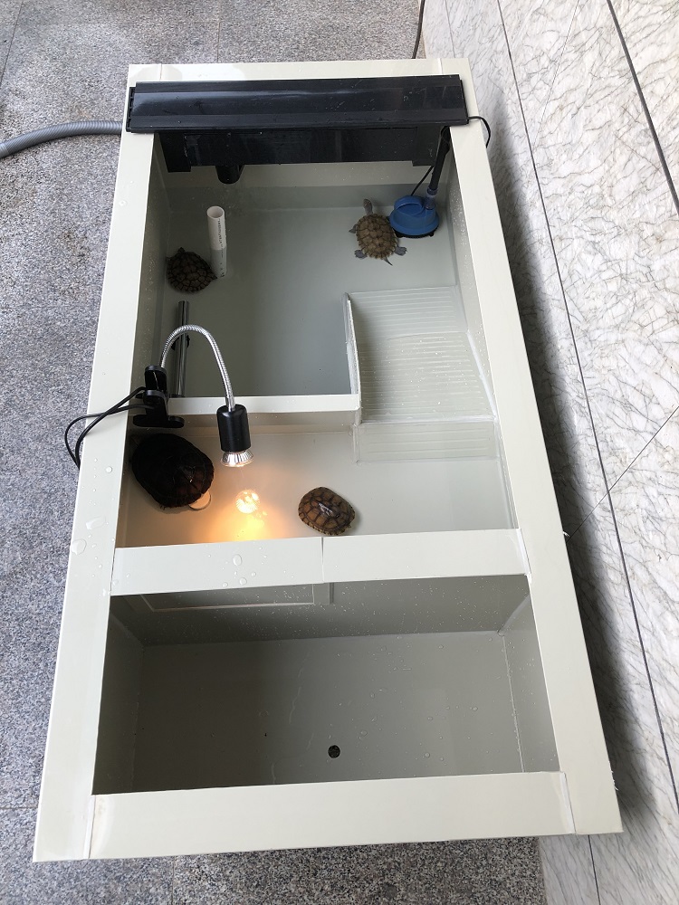 可开票龟箱龟池保温龟池龟苗保温池种龟池乌龟养殖箱乌龟缸养龟箱黑色