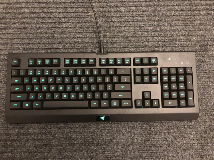 razer雷蛇萨诺狼蛛幻彩版rgb背光电竞吃鸡静音游戏键盘萨诺狼蛛幻彩版