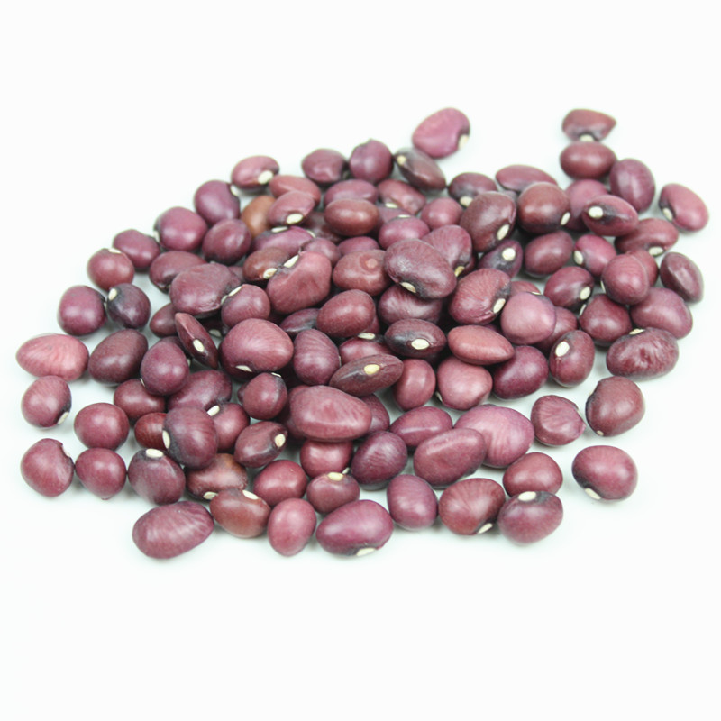 红扁小芸豆5斤 新货农家自产红豆非赤小豆红小豆红芸豆豆类杂粮【图片