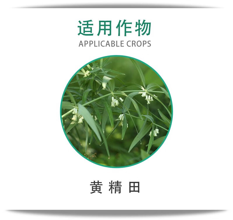黄精顽草通除草剂专用苗后顽草通禾阔通除尖叶圆叶杂草精喹禾灵25ml