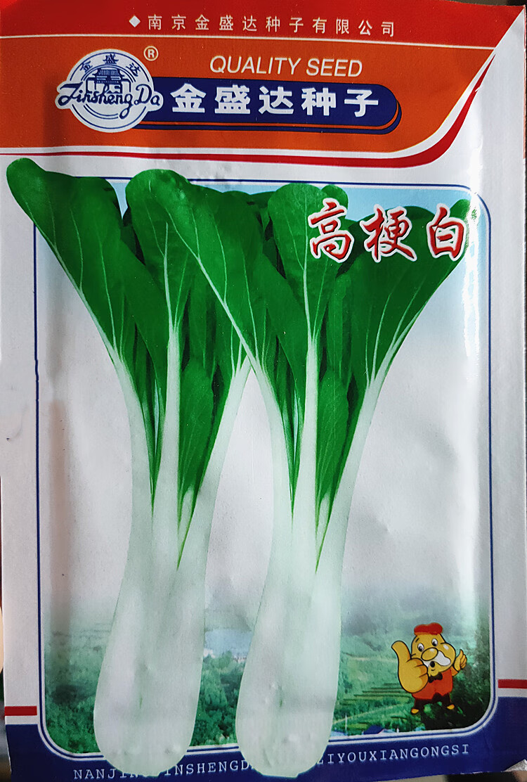 高脚白菜种籽绿领高梗白菜理想高梗白种籽农家冬季腌制菜蔬菜种籽