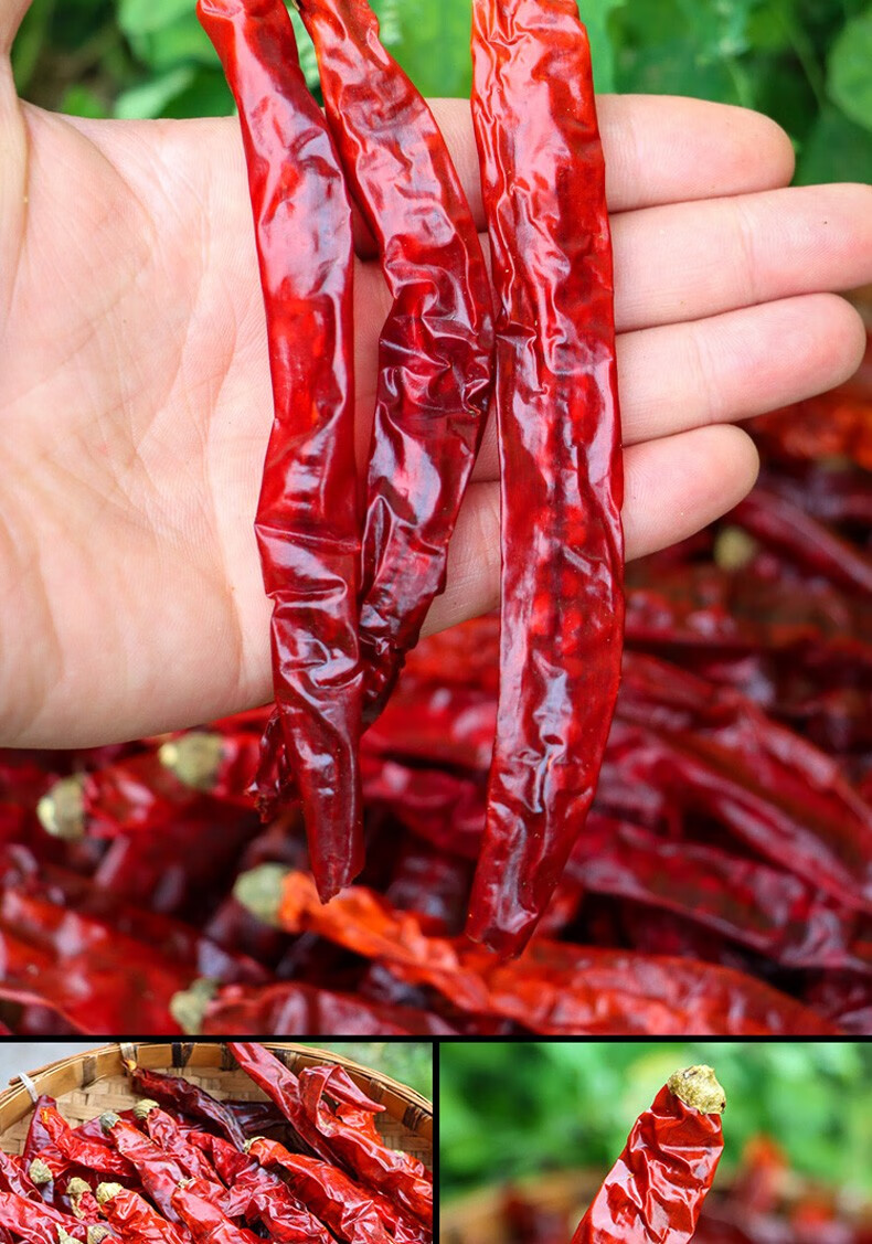 四川特产二荆条干辣椒微辣特香红辣椒调料250g