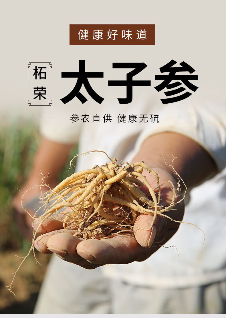 儿童无硫太子参原产地福建柘荣特级野生 特级太子参250克【图片 价格