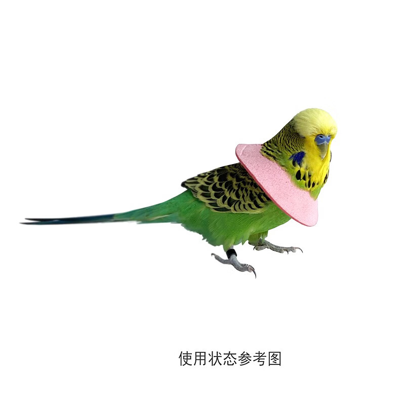 鹦鹉伊丽莎白圈鹦鹉鸟用伊丽莎白围脖衣服防咬毛啄毛受伤保护项圈脖套