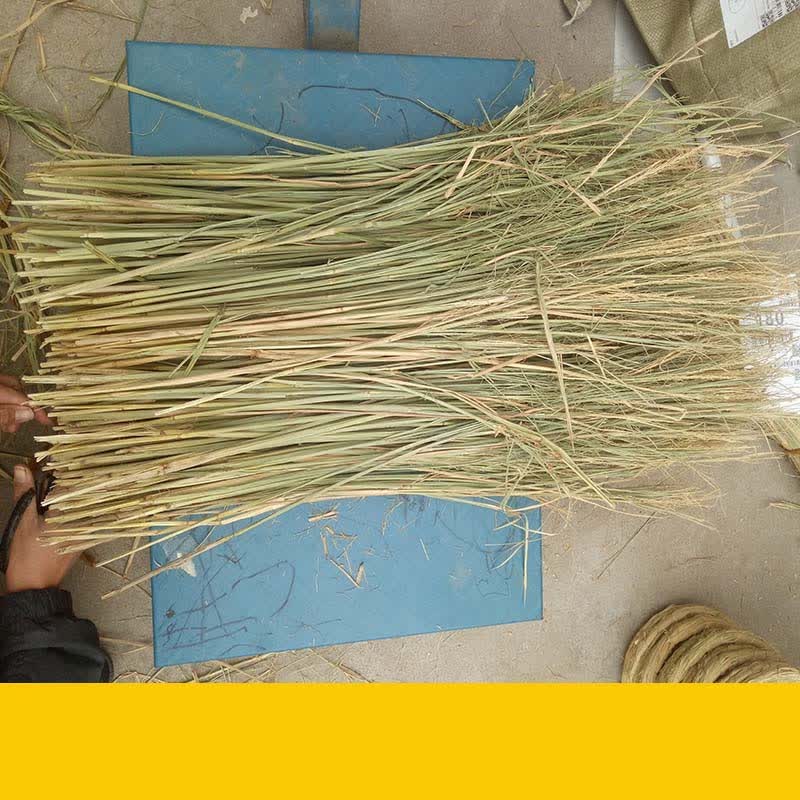 中梦稻草碎干草垫窝冬季宠物鸟类狗兔子保暖天然谷草鹦鹉垫料脚垫装饰