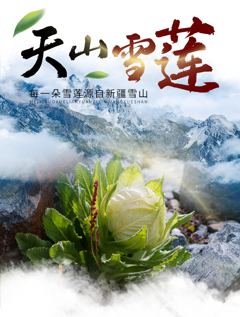 新疆雪莲花60g天山雪莲花中药材男女滋补养生泡酒泡茶煲汤【图片 价格