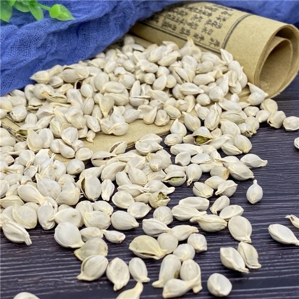 同仁堂橘核500克g桔核橘子核橘籽中药材另售橘络橘叶橘核可选磨粉