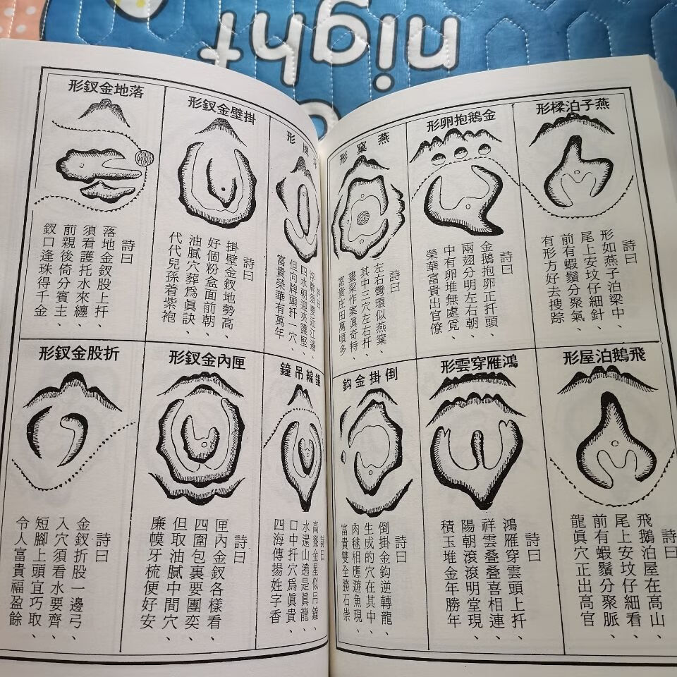 2707db8a9317a784.jpg