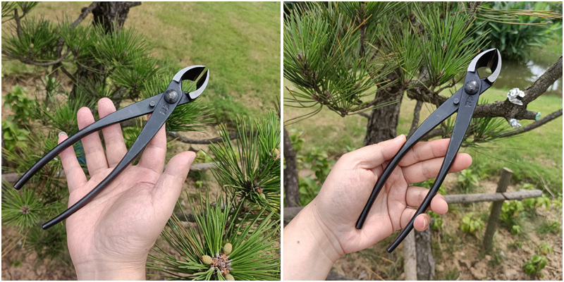 盆景修剪工具球节剪树节剪刀盆栽养护造型工具修枝球形剪 朱记205破杆