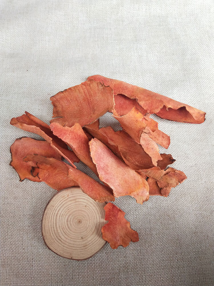 红土茯苓广西深山野生中药材晒干无硫5年老土茯苓 250克(厚片)【图片