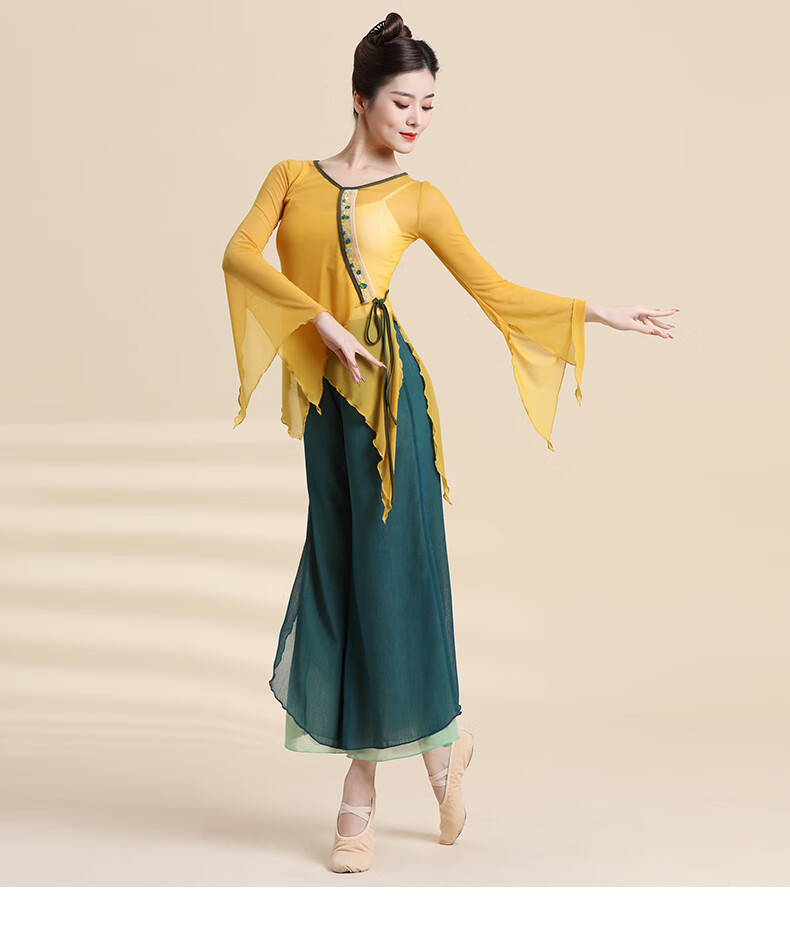 舞蹈服古典舞练功服女纱衣仙气飘逸上衣夏中国民族舞演出服装云水蓝