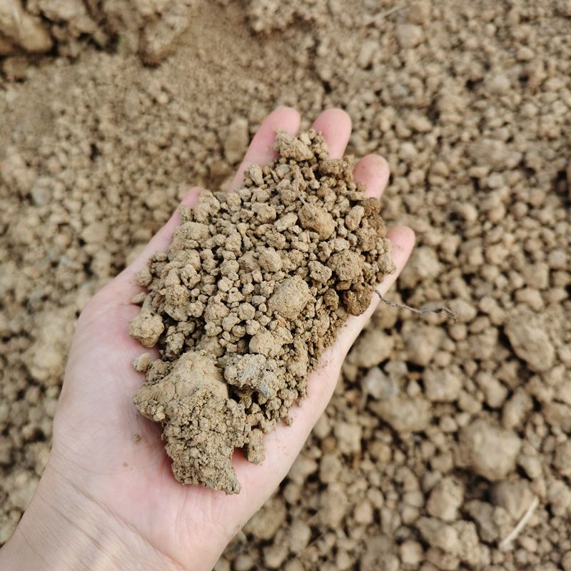 天然田园土种菜土种花土通用种植土营养土肥沃土泥土