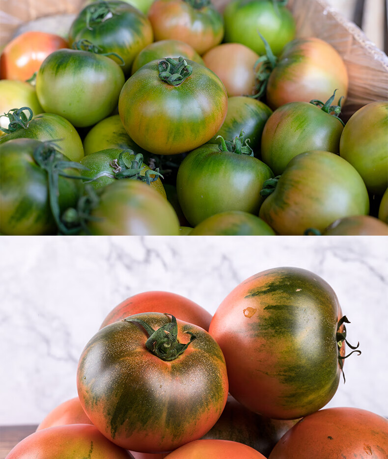 丹东水果草莓铁皮西红柿新鲜自然熟生吃番茄东北盘锦碱地柿子3斤小果