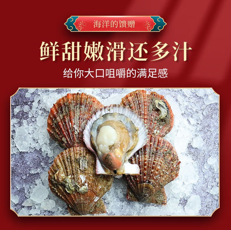 扇贝鲜活新鲜带壳大港湾贝现捞海鲜水产贝类顺丰五斤家庭装