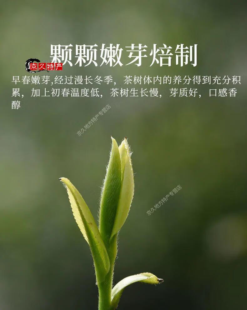 野栋2022新茶信阳原产毛尖茶叶绿茶春茶毛尖茶叶茶嫩芽浓香型耐泡茶