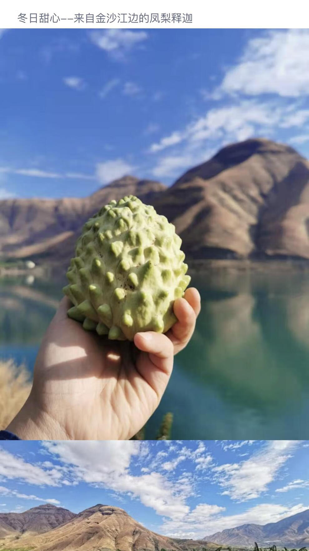 云南大理释迦果新鲜凤梨释迦绵软清甜释迦果新鲜果园直发150g5斤中果