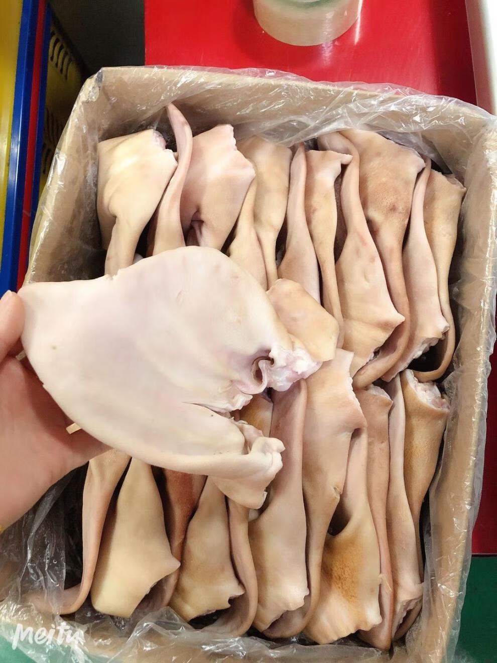 弄鱼堂 耳朵新鲜冷冻猪耳朵大根耳朵猪耳片生猪耳朵20斤带根耳片 20斤