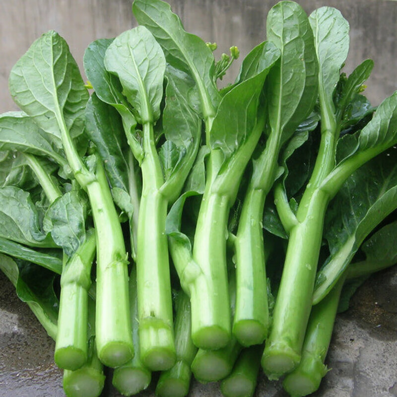菜心 新鲜广东菜心时鲜蔬菜菜心苗菜杆菜苔小青菜生吃即食蔬菜 3斤
