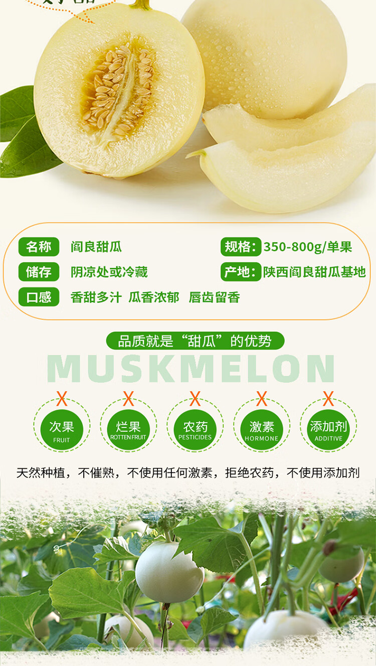 现货速发陕西阎良蜜瓜甜瓜新鲜头茬蜜罐甜瓜当季水果小蜜瓜斤白皮