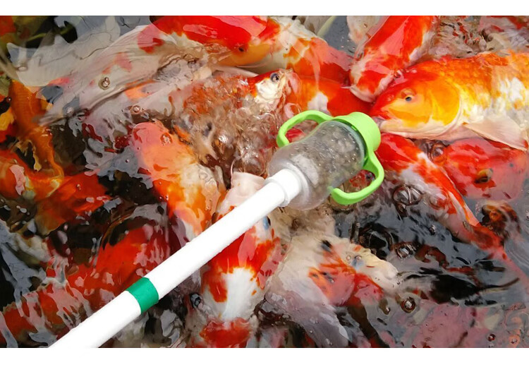 渔场直销带杆奶瓶吃奶鱼奶瓶喂奶鱼奶瓶底部奶瓶奶嘴鱼奶瓶 1.