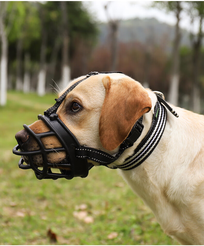 矢向硅胶中大型犬遛狗狗嘴套防咬叫口笼柯基宠物拉布拉多马犬金毛口罩